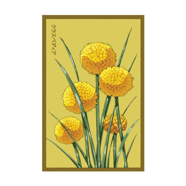 billy button flower seeds 2026 Billy Buttons Flower Seeds Packet – Chive US Wholesale