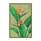 2026 Bird of Paradise Flower Seeds Packet - Chive US Wholesale