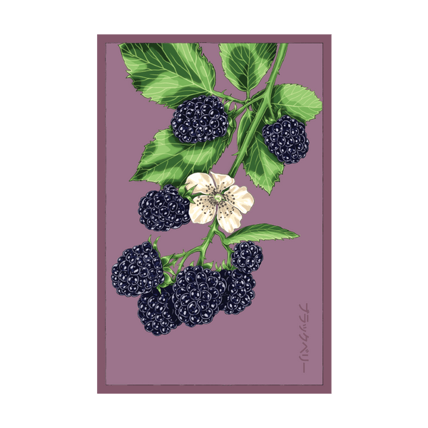ブラックベリー SEBLAC-1_grande.png?v=1754598877