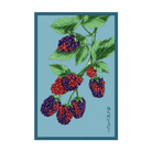 2026 Boysenberry Flower Seeds Packet - Chive US Wholesale