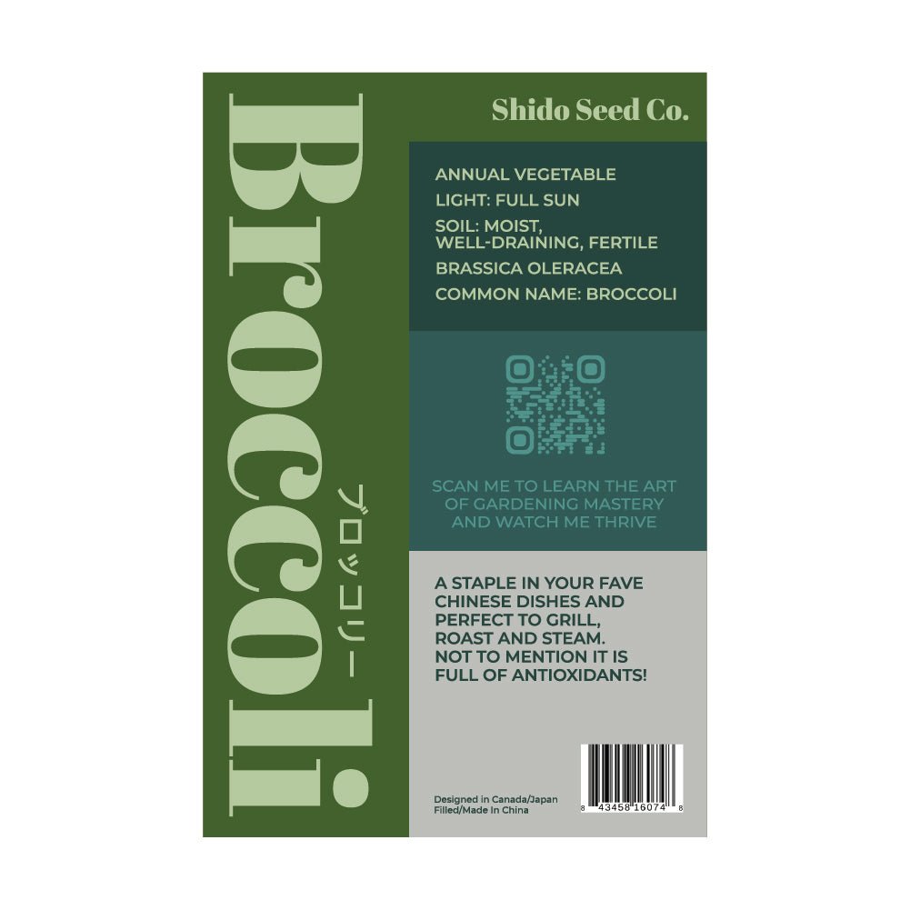 Broccoli Vegetable Seeds Packet - Chive US Wholesale