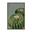 2026 Cactus Indoor Seeds Packet - Chive US Wholesale