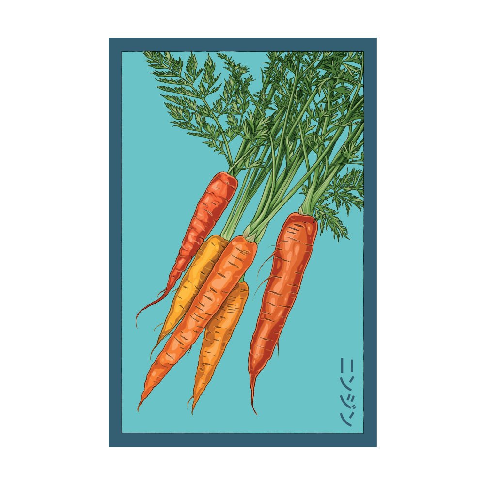 Carrot Vegetable Seeds Packet - Chive US Wholesale