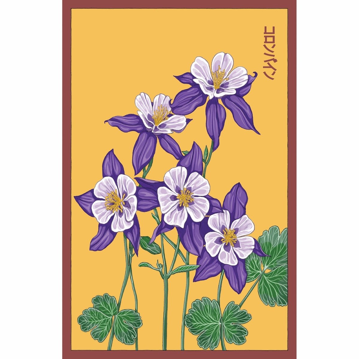 Columbine Flower Seeds Packet - Chive US Wholesale