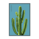 2026 Small Mixed Cacti Indoor Seeds Packet - Chive US Wholesale