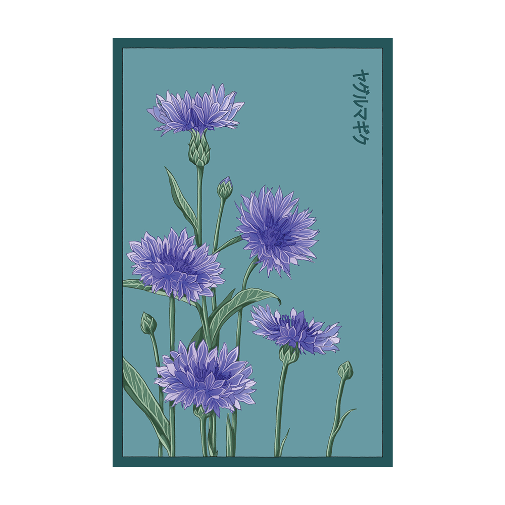 Blue Cornflower Flower Seeds Packet - Chive US Wholesale