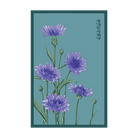 Blue Cornflower Flower Seeds Packet - Chive US Wholesale