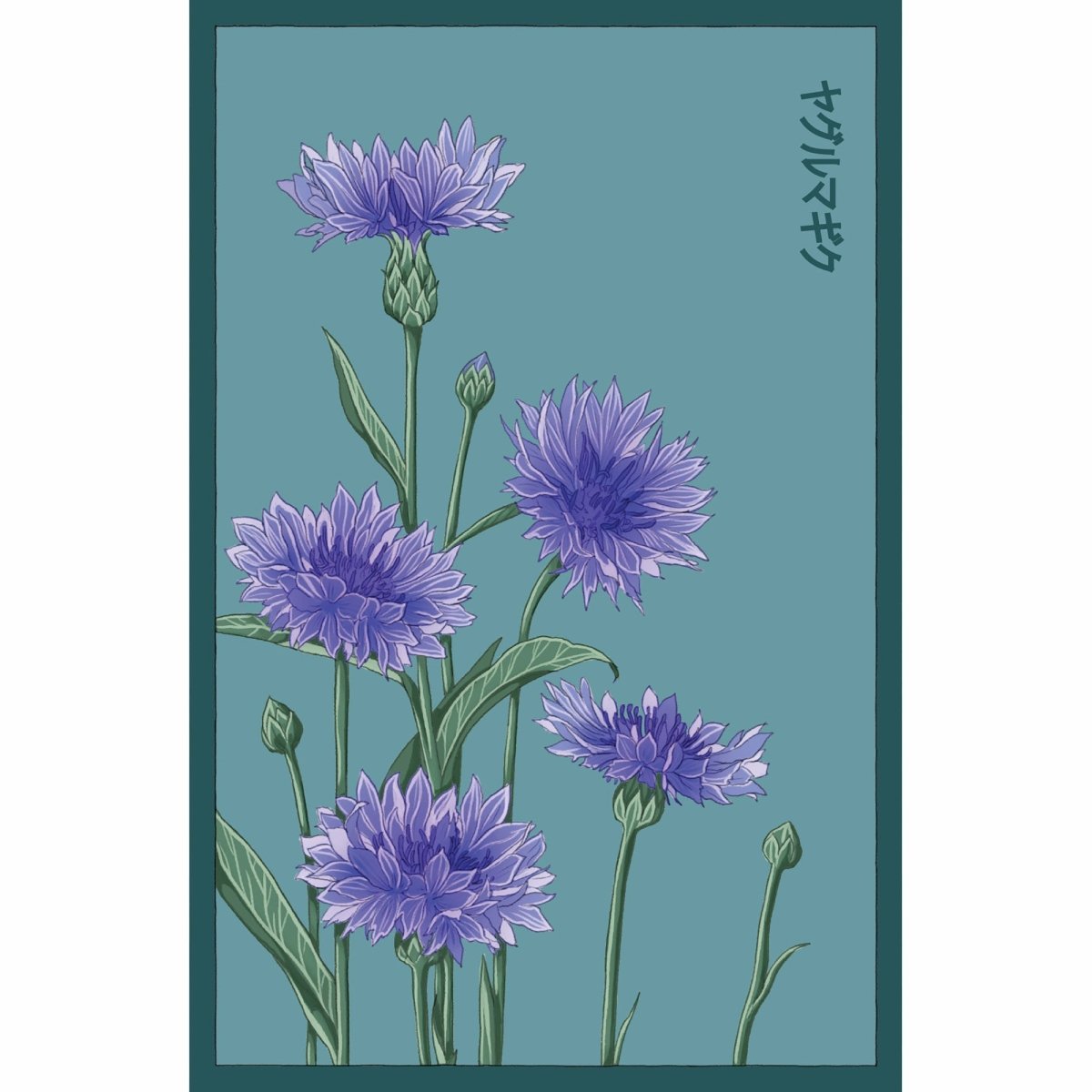 Blue Cornflower Flower Seeds Packet - Chive US Wholesale