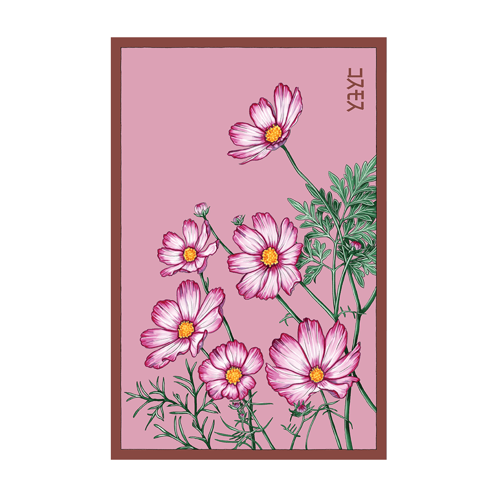 Cosmos Flower Seeds Packet - Chive US Wholesale