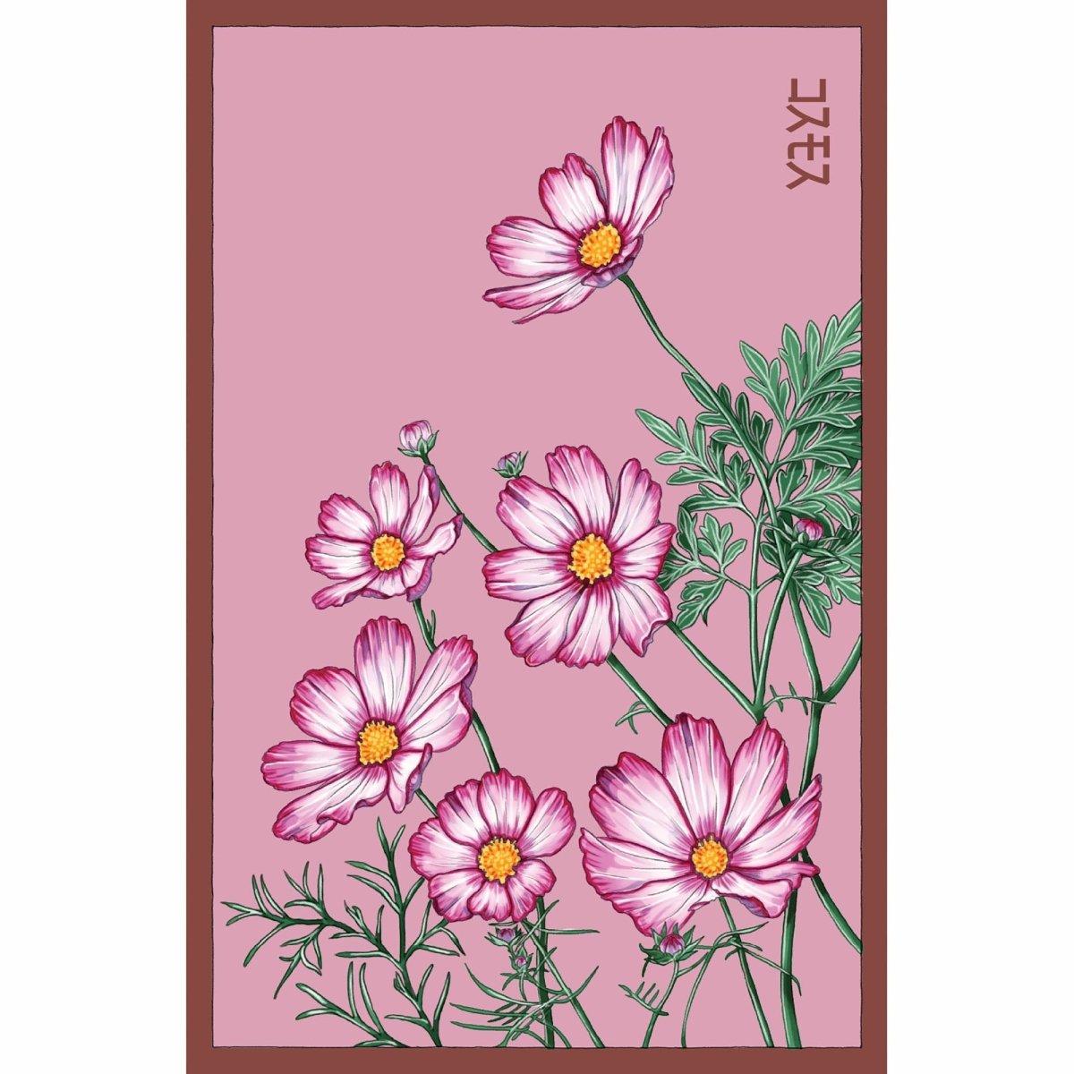 Cosmos Flower Seeds Packet - Chive US Wholesale