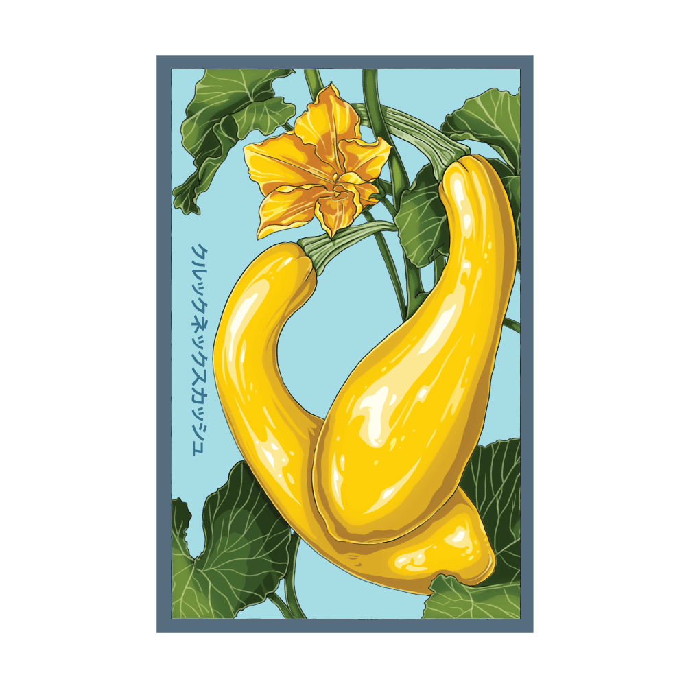 2026 Early Golden Crookneck Squash Vegetable Seeds Packet - Chive US Wholesale