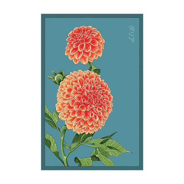 blue dahlia flower seeds Dahlia Flower Seeds Packet – Chive US Wholesale