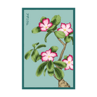 2026 Desert Rose Indoor Seeds Packet - Chive US Wholesale