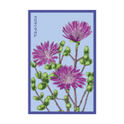 2026 Dewflower Flower Seeds Packet - Chive US Wholesale
