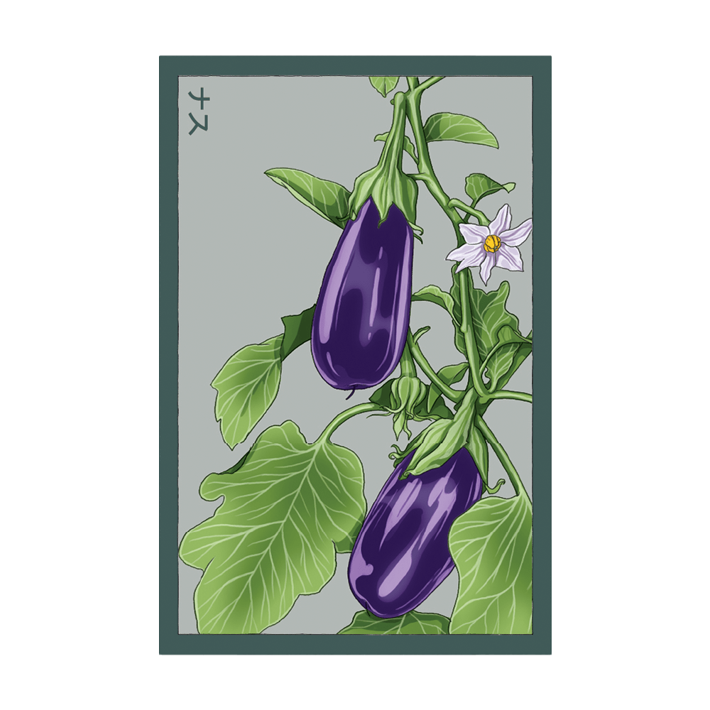 Eggplant Vegetable Seeds Packet - Chive US Wholesale