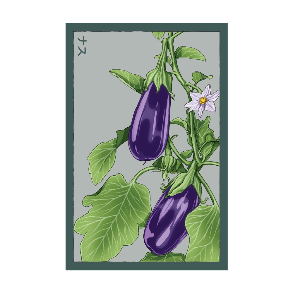 Eggplant Vegetable Seeds Packet - Chive US Wholesale