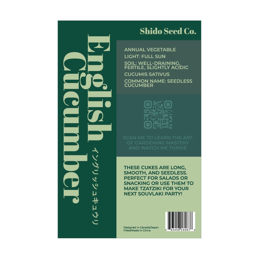 English Cucumber Vegetable Seeds Packet - Chive US Wholesale