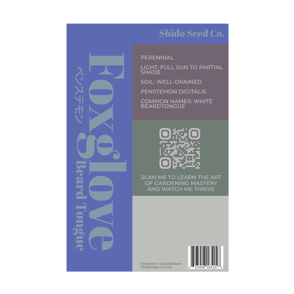 2026 Foxglove Beard Tongue Flower Seeds Packet - Chive US Wholesale