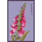 Foxglove Flower Seeds Packet - Chive US Wholesale