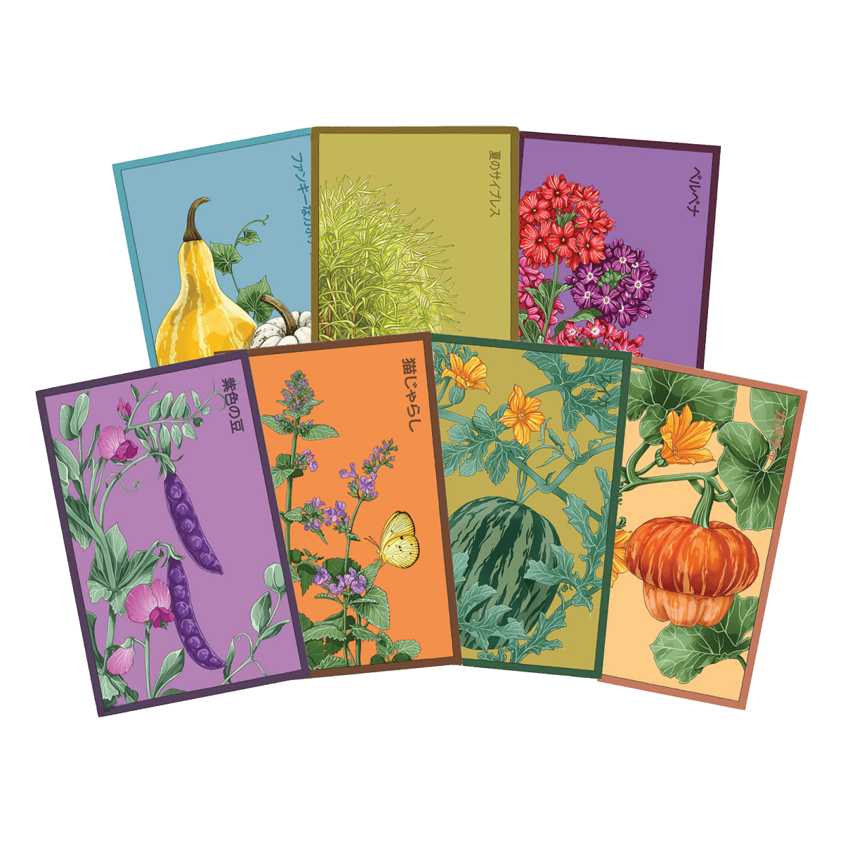 Funky Seeds Packets - 48 Assorted - Chive US Wholesale