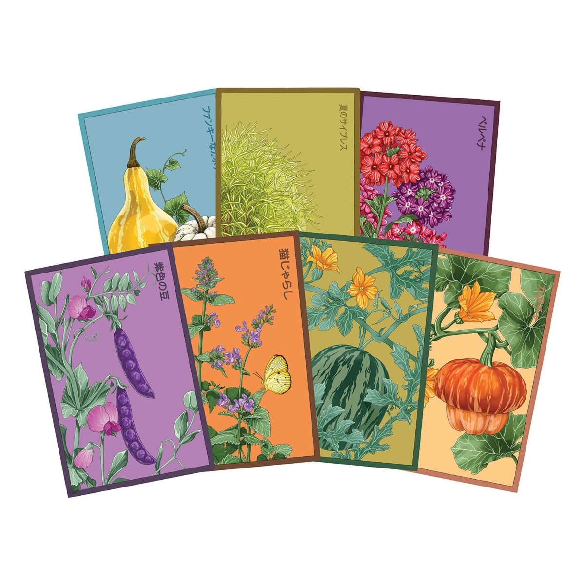 Funky Seeds Packets - 48 Assorted - Chive US Wholesale