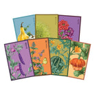 Funky Seeds Packets - 48 Assorted - Chive US Wholesale