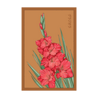 Gladiola Flower Seeds Packet - Chive US Wholesale