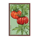 Heirloom Tomato Vegetable Seeds Packet - Chive US Wholesale