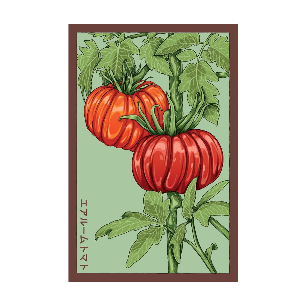 Heirloom Tomato Vegetable Seeds Packet - Chive US Wholesale