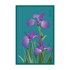 Iris Flower Seeds Packet - Chive US Wholesale