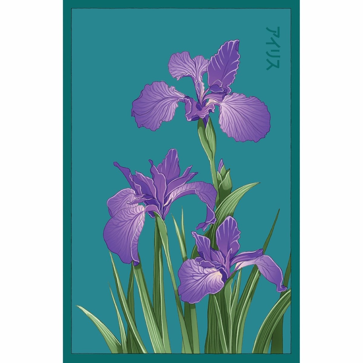 Iris Flower Seeds Packet - Chive US Wholesale