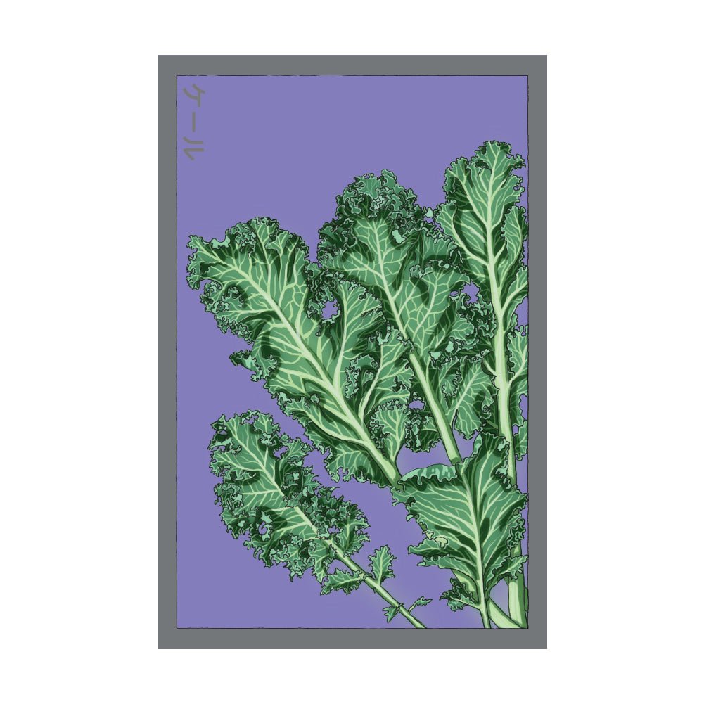 Kale Vegetable Seeds Packet - Chive US Wholesale