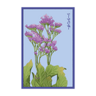 Sea Lavender Flower Seeds Packet - Chive US Wholesale