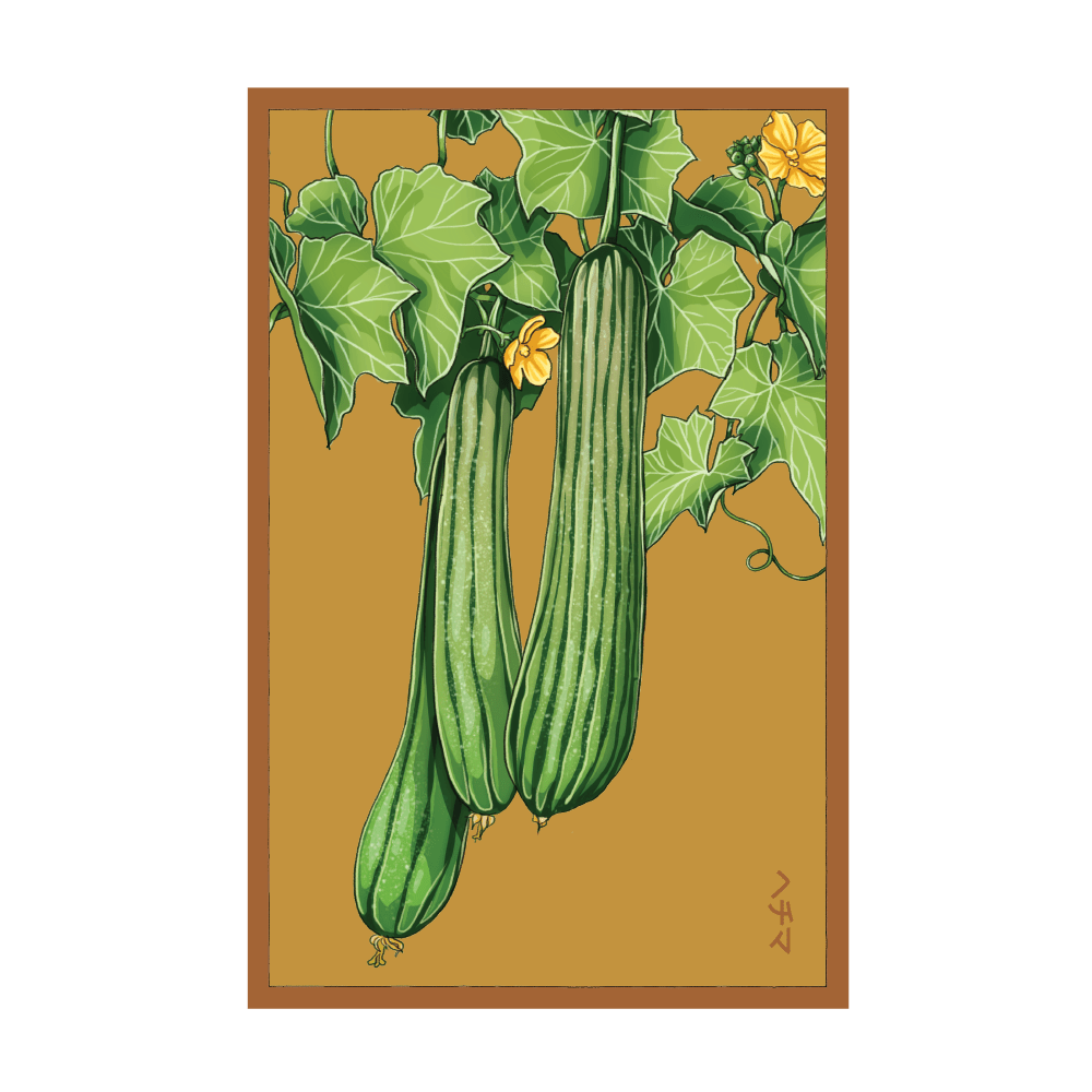 2026 Luffa Sponge Vegetable Seeds Packet - Chive US Wholesale