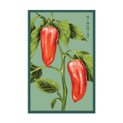 2026 Mini Sweet Peppers Vegetable Seeds Packet - Chive US Wholesale