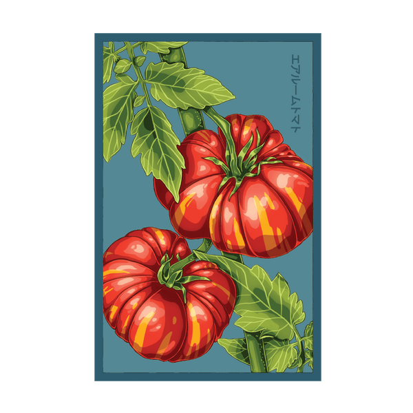 tomato  H1776 | HeinzSeed | United States | Products - Heinz®