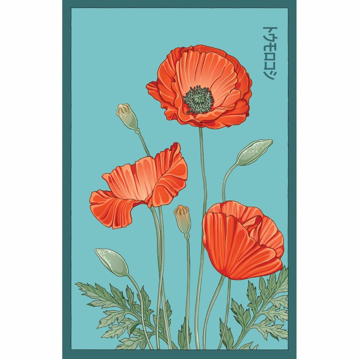 Corn Poppy Flower Seeds Packet - Chive US Wholesale