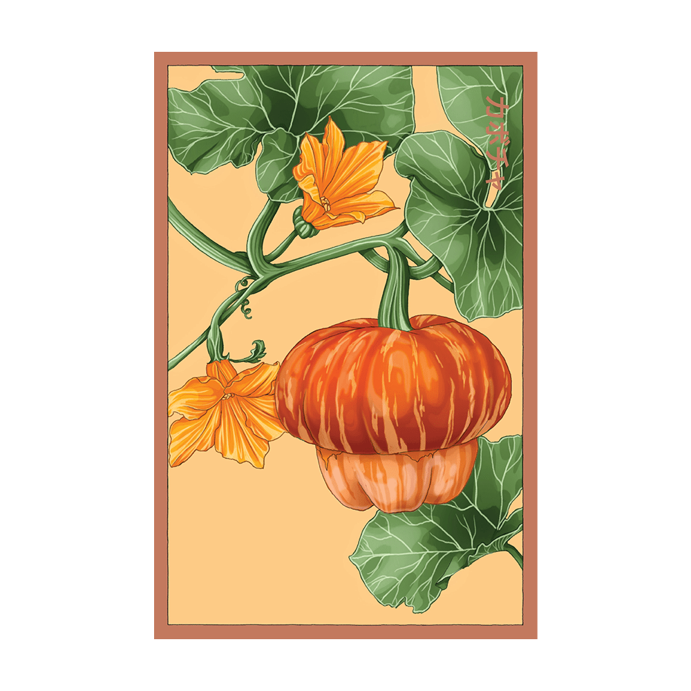 Pumpkin Squash Flower Seeds Packet - Chive US Wholesale