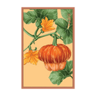 Pumpkin Squash Flower Seeds Packet - Chive US Wholesale