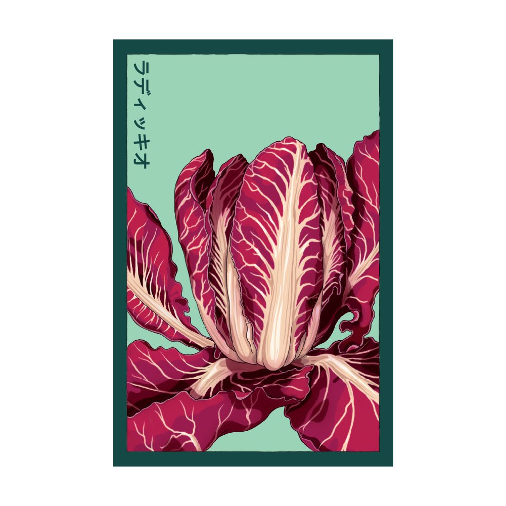 Radicchio Vegetable Seeds Packet - Chive US Wholesale