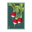 Radish Vegetable Seeds Packet - Chive US Wholesale