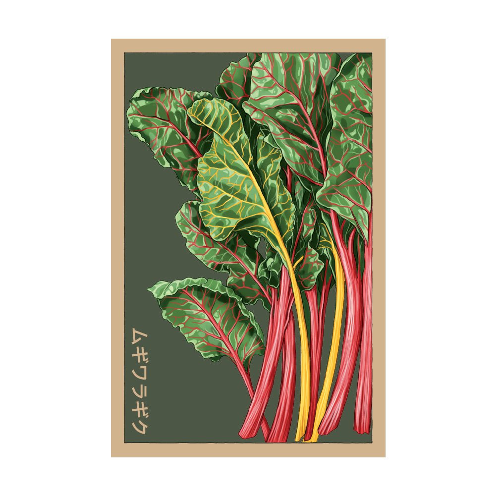 Rainbow Chard Vegetable Seeds Packet - Chive US Wholesale