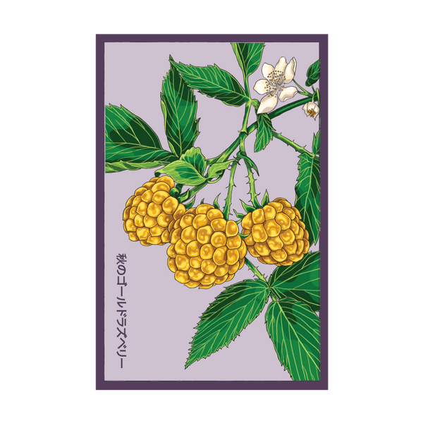 SERASP-1_grande.png?v=1754598861