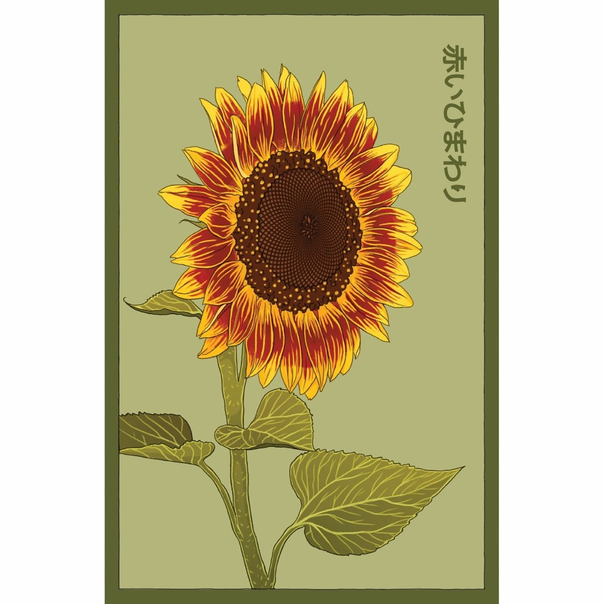 Red Sunflower Flower Seeds Packet - Chive US Wholesale