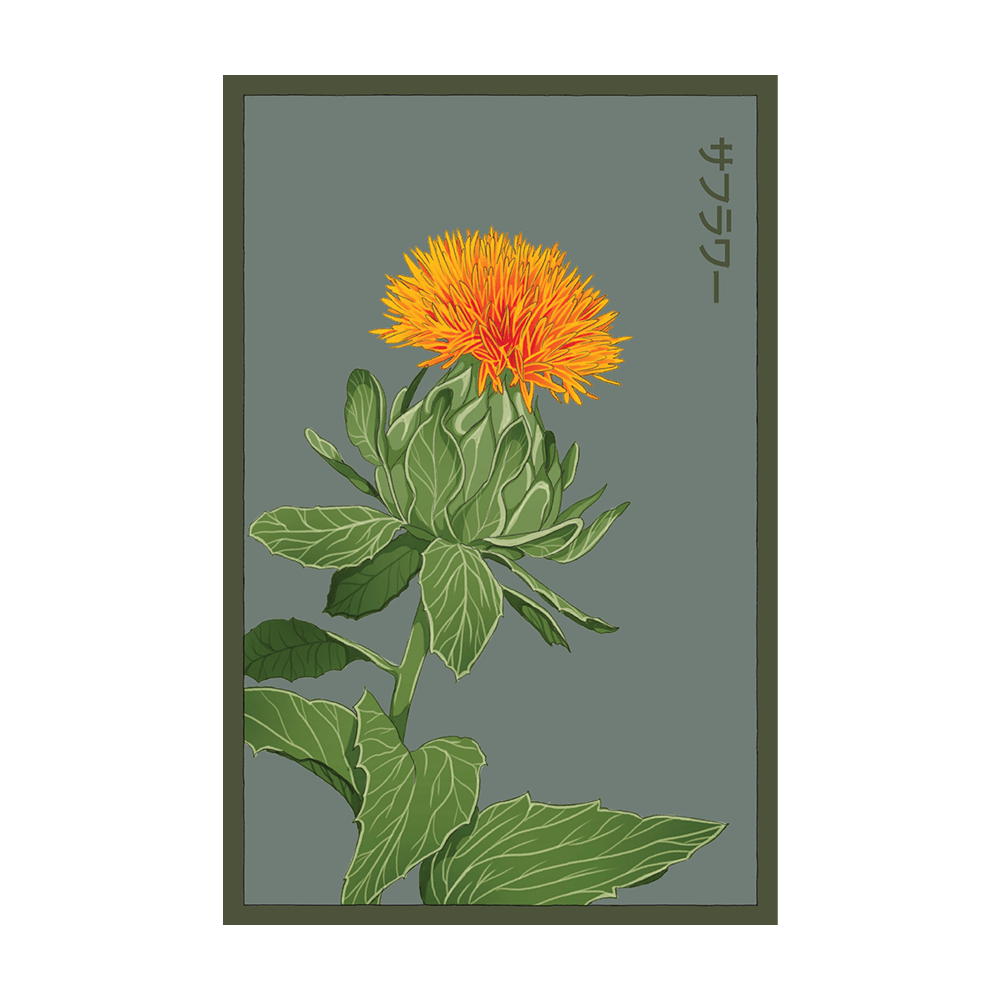 Safflower Flower Seeds Packet - Chive US Wholesale