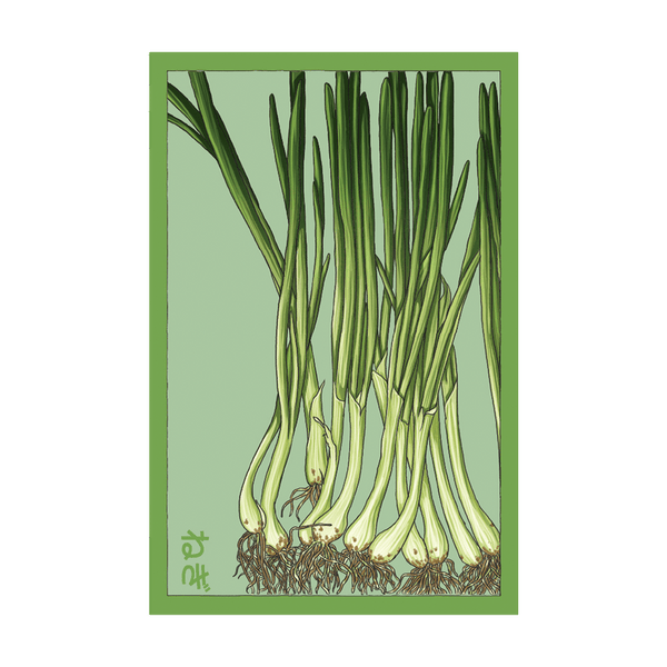scallion flower seeds Scallions Vegetable Seeds Packet – Chive US Wholesale