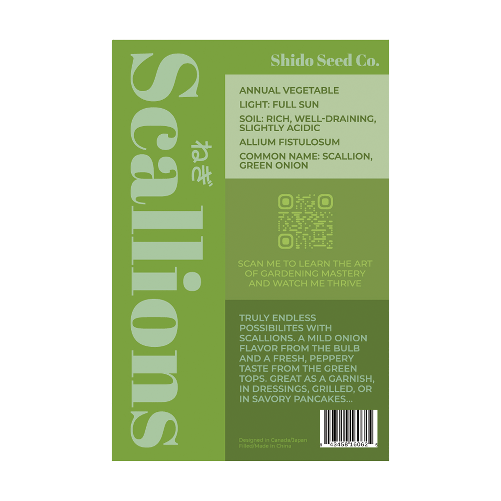 Scallions Vegetable Seeds Packet - Chive US Wholesale