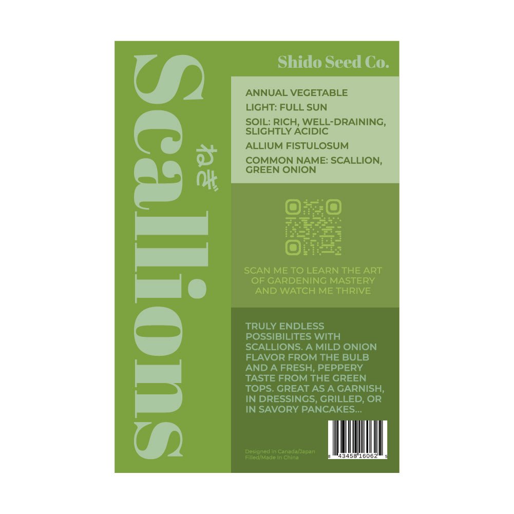 Scallions Vegetable Seeds Packet - Chive US Wholesale