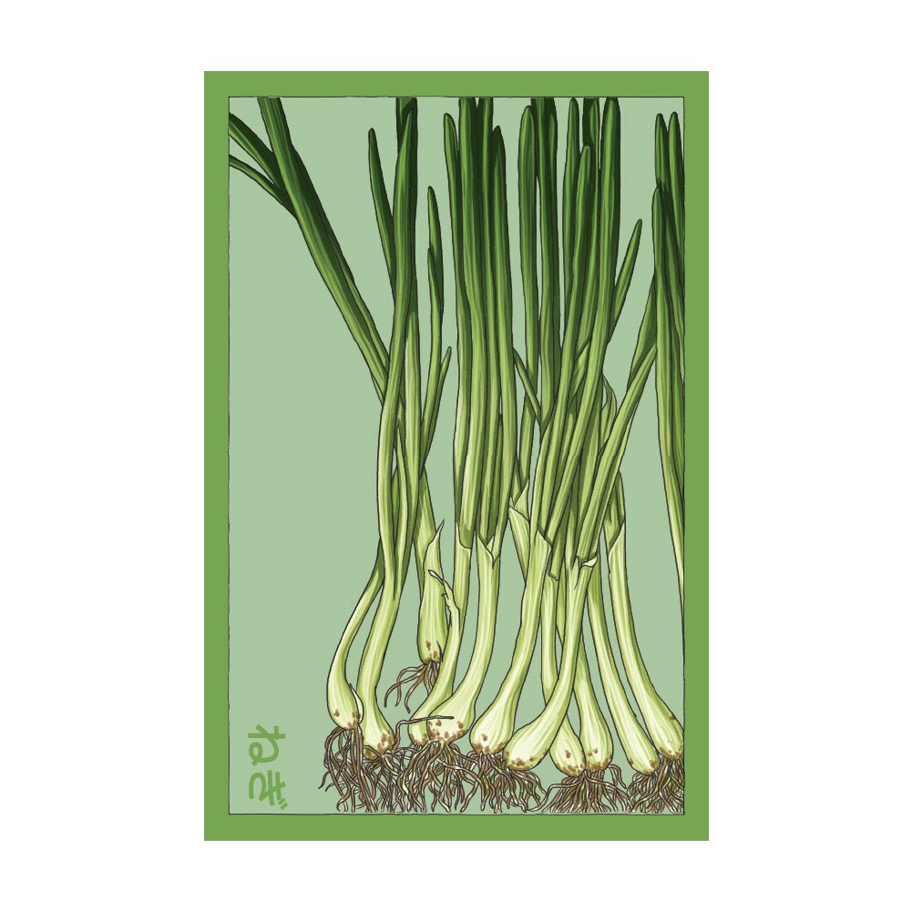 Scallions Vegetable Seeds Packet - Chive US Wholesale