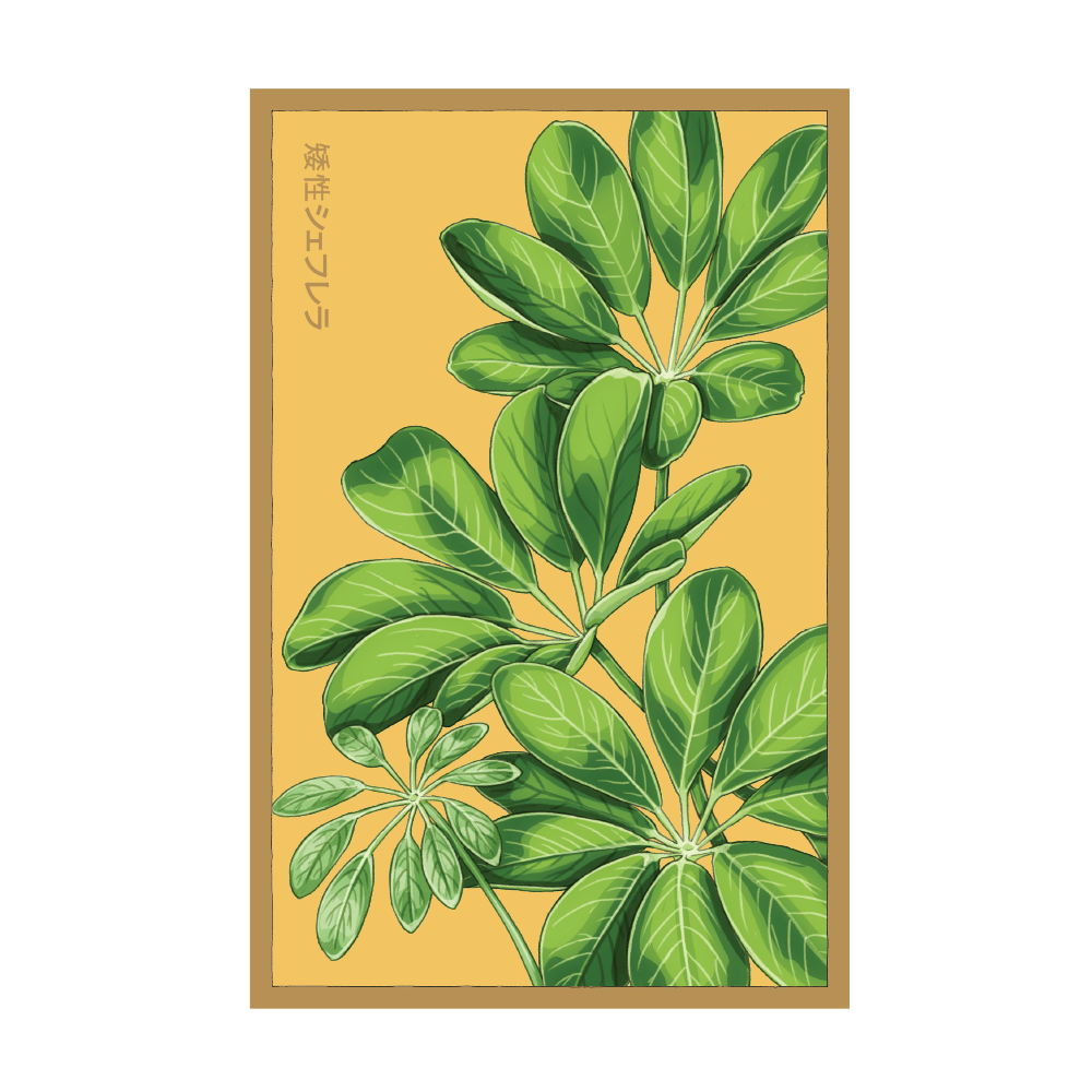 2026 Dwarf Schefflera Indoor Seeds Packet - Chive US Wholesale